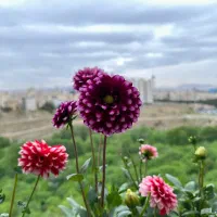 آپارتمان ۷۴ متری دوخوابه با ویو تهران