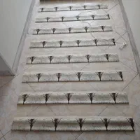 پرده زبرا ۹۰ در ۱/۹۰