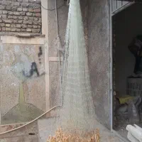 تور ماهیگیری|ماهیگیری|خرمآباد, |دیوار