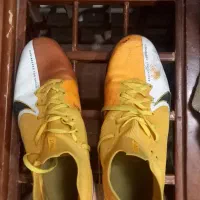 کفش سالنی درحدنو|کیف، کفش، کمربند|تربت جام, نظامی|دیوار