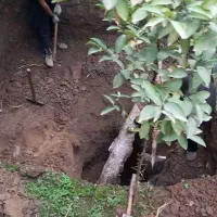 مغنی چاه|خدمات پیشه و مهارت|علی‌آباد کتول, |دیوار