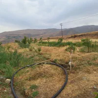 باغ در روستای افشرد
