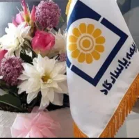 بیمه پاسارگاد