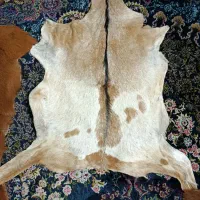 دکوری پوست وارداتی دیزاین