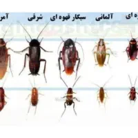 سم‌پاش‌سمپاشی‌100%تضمینی‌حشرات‌ساس‌سوسک‌‌،کل تهران|خدمات نظافت|تهران, امام حسین|دیوار
