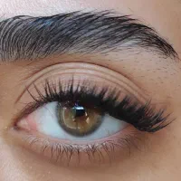 مدل کاشت مژه هیدن|خدمات آرایشگری و زیبایی|رشت, دیانتی|دیوار