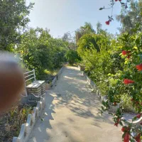 باغ ویلا|اجارهٔ کوتاه‌مدت ویلا و باغ|شوشتر, |دیوار