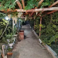 خانه مسکونی و ویلایی|فروش خانه و ویلا|باغ بهادران, |دیوار