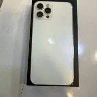 12پرو مکس ۲۵۶