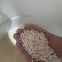 برنج نیم دانه مخصوص مرغ خروس و حیوانات