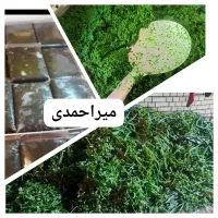 سبزی قورمه