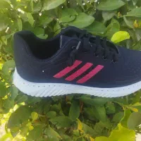 کفش جفتی ۱۰۰