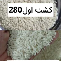 برنج طارم  300000