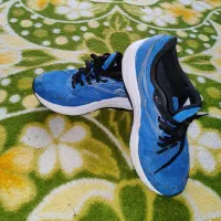 کفش ساکنی اورجینال