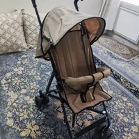 کالسکه عصایی