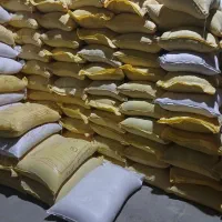 جو آبی بذری|خدمات باغبانی و درختکاری|بروجرد, |دیوار