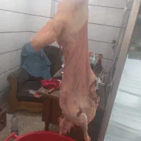 قصابی گوشت بره