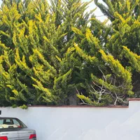 ۳هکتار زمین کشاورزی با برق و گاز نزدیک بهارستان