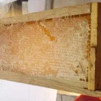 عسل طبیعی وتازه اردبیل