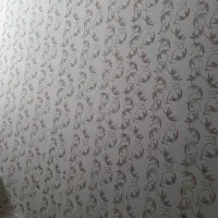 نقاشی ساختمان یک رنگ|خدمات پیشه و مهارت|اصفهان, خانه اصفهان|دیوار