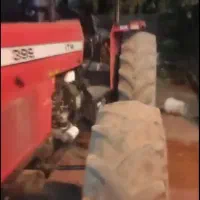 تراکتور جفت شش سیلندر کمپانی مدل ۹۵|خودرو سنگین|فرخ‌شهر, |دیوار