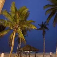 هتل کیش|تور و چارتر|شیراز, تاچارا|دیوار