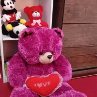 شاسخین بزرگ ۸۴ سانت قد