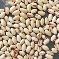 خرید پسته روابی،دهنبست،نیمه مغز شما را