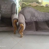 لوازم دفتری مبل و قفسه و میز قیمت توافقی|دفتر کار|قم, پردیسان|دیوار