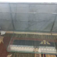 آکواریم شیشه خم با وسایل|ماهی|مبارکه, |دیوار