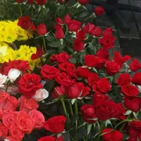 ۲نفر نیروی جوان کاری