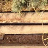 لوله ۶ اینچ pls|عمده‌فروشی|رودبار (کرمان), |دیوار