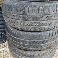 عروس لاستیک سمندی۱۸۵