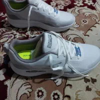 کفش|کیف، کفش، کمربند|شیراز, چنچنه|دیوار