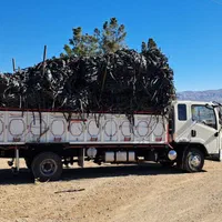 ضایعات  تیپ  آبیاری|خدمات باغبانی و درختکاری|محلات, |دیوار