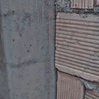 کبوتر فول دستی نر مست کاشونی کله ماستی