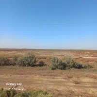 زمین گشاورزی ۶ هکتار به فروش میرست