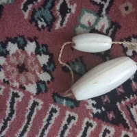 مهره سلیمانی نر و ماده