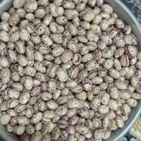 کیلویی ۳۷۰|خوردنی و آشامیدنی|شیراز, شهرک بهشتی|دیوار