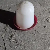 ابخوری