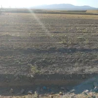 فروش خانه ویلایی ۳ هکتار|فروش خانه و ویلا|هریس, |دیوار