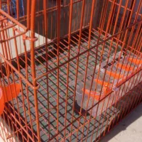 قفس پرنده|لوازم جانبی حیوانات|اندیشه, اندیشه فاز ۳|دیوار