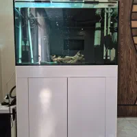 فروش آکواریوم و کلی وسیله و متعلقات آن
