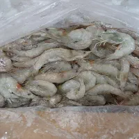 ماهی ومیگو|خوردنی و آشامیدنی|چغادک, |دیوار