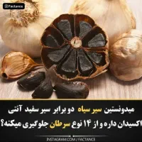 سیر سیاه بخر شامپو گیاهی جایزه ببر|آرایشی، بهداشتی، درمانی|تهران, زمزم|دیوار