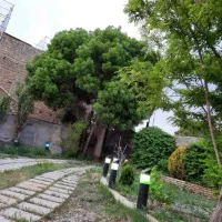 باغ ویلا|فروش خانه و ویلا|جوادآباد, |دیوار