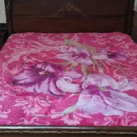 تخت و کنار تختی|تخت و سرویس خواب|ساوه, |دیوار