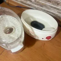 بخارپز مولینکس