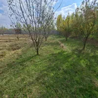 باغ ۴۵۰ متری در پره