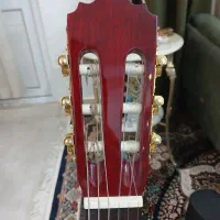 گیتار|گیتار، بیس، امپلیفایر|ساوه, |دیوار